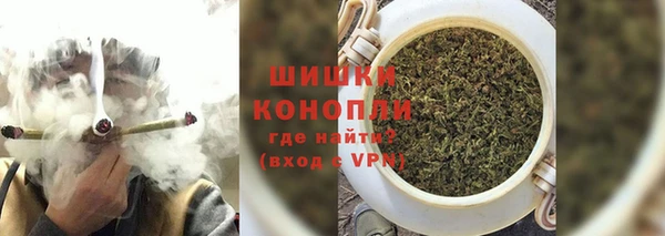 сатива Кинешма