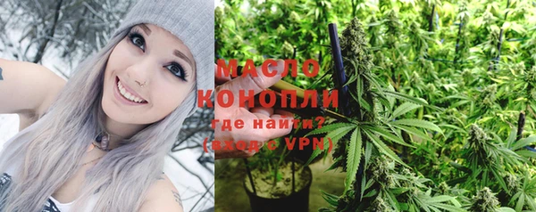 сатива Кинешма