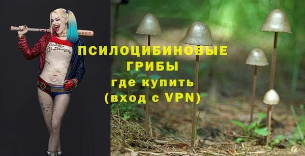 альфа пвп Киреевск
